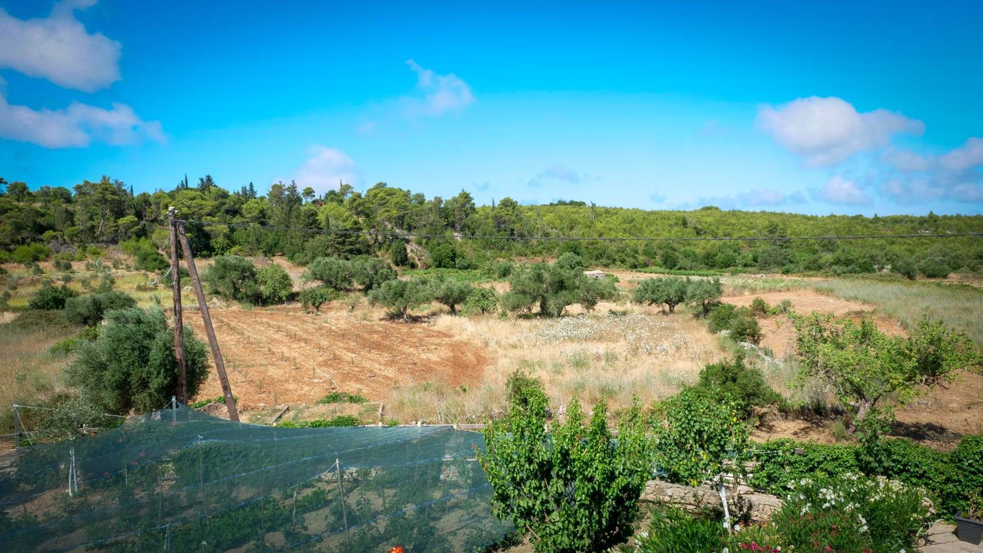 Fterini Apartments Sterna & Alletri Agios Leon Luaran gambar